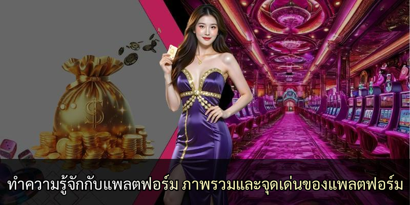 ทำความรู้จักกับแพลตฟอร์ม ภาพรวมและจุดเด่นของแพลตฟอร์ม
