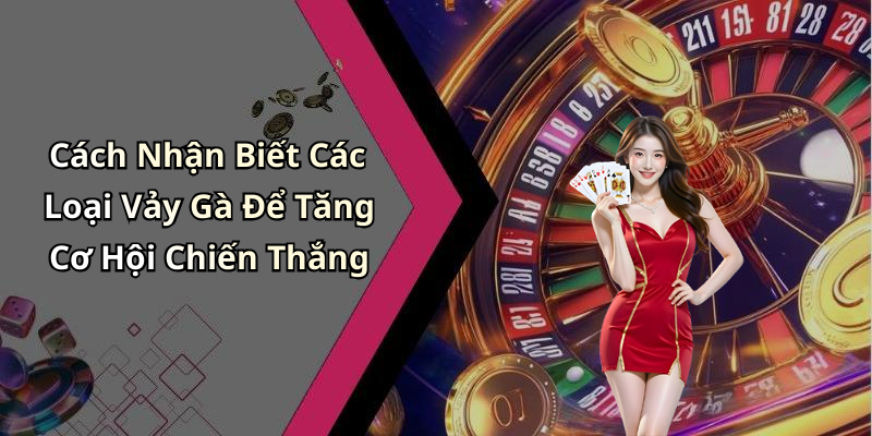 Cách Nhận Biết Các Loại Vảy Gà Để Tăng Cơ Hội Chiến Thắng