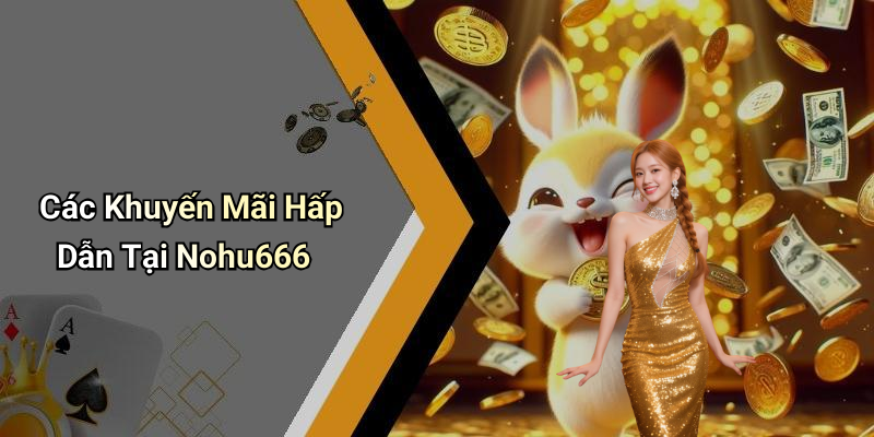 Các Khuyến Mãi Hấp Dẫn Tại Nohu666